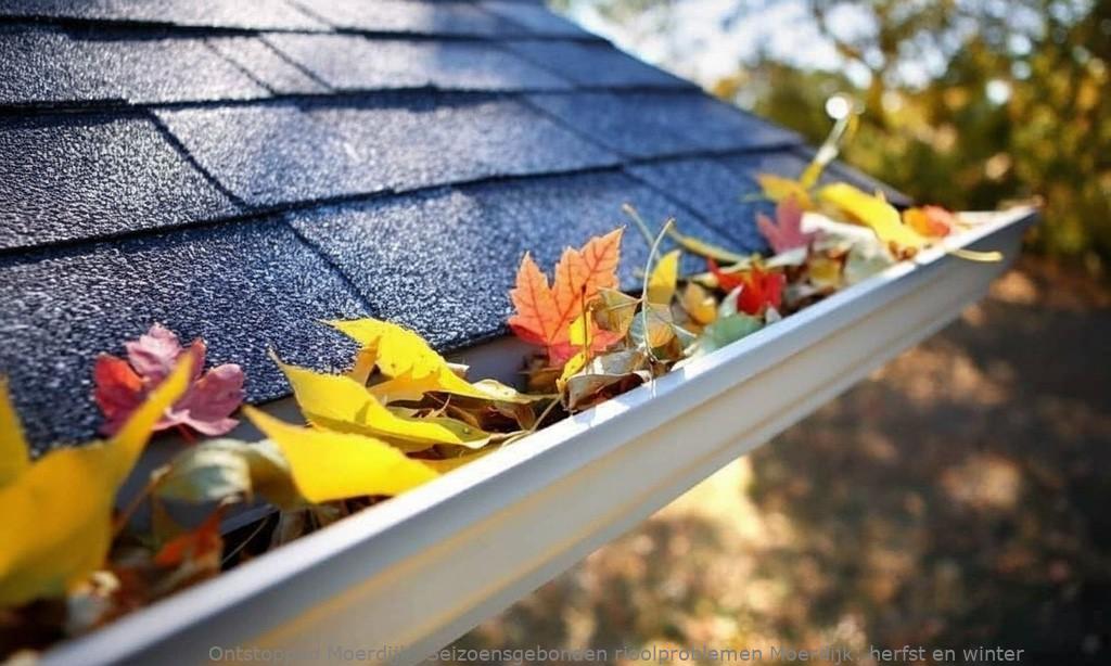 Seizoensgebonden rioolproblemen Moerdijk: herfst en winter