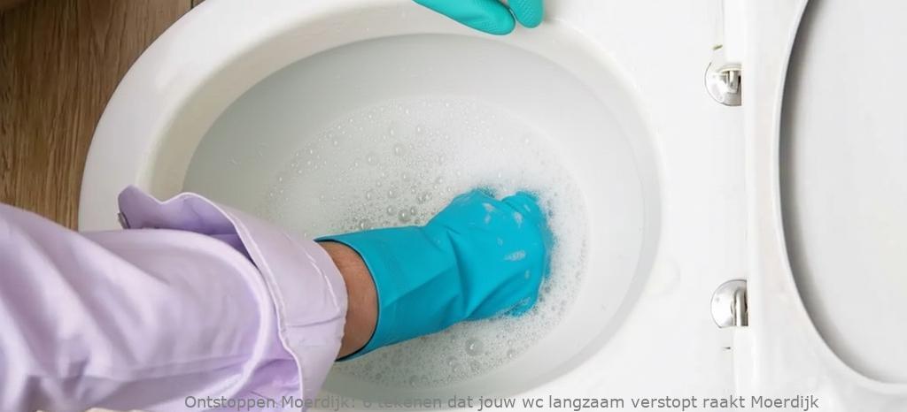 6 tekenen dat jouw wc langzaam verstopt raakt Moerdijk
